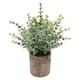 thumbnail image 5 of Planta Suculenta Artificial Falsa En Maceta Mini Plantas En Maceta Decoración De Jardín Para El Hogar Pequeño Eucalipto, 5 of 5