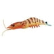 thumbnail image 2 of Figuras De Juguete De Criaturas De Gambas Realistas Aprendizaje Temprano Cognitivo Para Enseñar Naranja 103g, 2 of 5