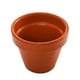 thumbnail image 2 of Macetero Kony Terracota 11 cm, 2 of 6