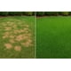 thumbnail image 2 of Rocas Minerales Naturales 200 G Para Perros, 2 of 9