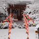 thumbnail image 4 of Set 5 Bastones De Navidad Luces Solares Navidad Jardin Hogar, 4 of 8