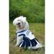 thumbnail image 2 of Pets First Pet Supplies Dallas Cowboys Pet Dress, Dallas Cow, 2 of 3