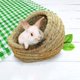 thumbnail image 3 of Cama De Hierba De Conejo Cama De Heno Tejido De Conejo Casa De Hierba Hecha A Mano Natural Para Mascotas Pequeñas Adecuada Para Totoro Cobayas Erizos Ratas (versión Mini), 3 of 3