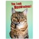 thumbnail image 1 of Tarjeta de cumpleaños divertida CardFool con foto de gato y chiste, 1 of 7