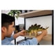 thumbnail image 2 of Figura de Dinosaurio Stegosaurus, 2 of 5