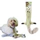 thumbnail image 1 of Juguete para perros SPOT Skinneeez Raccoon de peluche de 58 cm con 2 chirriadores, 1 of 9