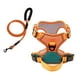 thumbnail image 2 of Arnés Para Perros Con Correa Ajustable Suave Con Clip Frontal Para Perros Mascotas Caminando Naranja L Verde, 2 of 3