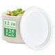 thumbnail image 1 of Platos de papel Vplus, 100% compostables, ovalados, 32 cm, 125 unidades, 1 of 7