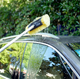 thumbnail image 2 of Cepillo De Lavado De Autos Telescópico Con Conexión De Agua, 2 of 5