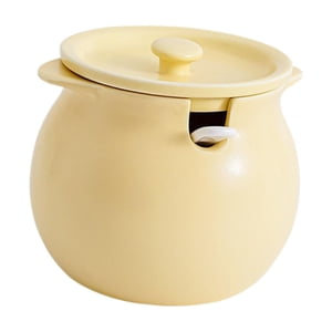 Bothyi - Recipiente De Cocina Con Tapa, Cuchara, Almacenamiento De Alimentos, Tarro De Condimentos, Recipiente De Cerámica M Amarillo