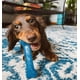 thumbnail image 2 of Juguete masticable Nylabone Original Bone Flexi para perros X-Small, paquete de 3, 2 of 9