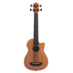 thumbnail image 1 of U-bass Kala Scout-FL fretless, 1 of 3