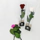 thumbnail image 2 of Rosa Preservada Natural 30cm En Acetato Rojo, 2 of 2