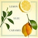 thumbnail image 4 of Sugar Lemon de Fresh para Mujer - Eau de Parfum Spray de 95 Ml, 4 of 6