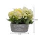 thumbnail image 5 of Planta Artificial Macetero De Cemento Flowers And Plants beige, 5 of 8