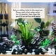 thumbnail image 5 of Rocas decorativas Black River Rocks FANTIAN de 2,27 kg para plantas de interior, 5 of 9