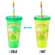 thumbnail image 3 of Vaso Térmico Cambiante Silver Buffalo Ositos Cariñosos Paquete de 4 710 ml (24 oz), 3 of 7
