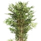 thumbnail image 3 of Planta Decorativa Artificial Bamboo 150 Cms., 3 of 4