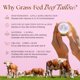 thumbnail image 4 of Crema Eat My Face Grass Fed Tallow 120 ml para bebés y mamás, 4 of 7