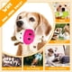 thumbnail image 4 of Juguete De Peluche Para Perros Squeaky Paquete De 5 Unidades Para Perros Pequeños Mediano, 4 of 7