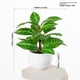 thumbnail image 3 of 5.11 pulgadas 3 piezas pequeñas plantas falsas artificiales planta en maceta interior faux planta tropical para la oficina del hogar mesa estante escritorio Décor, 3 of 3