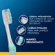 thumbnail image 2 of Cepillo de Dientes Oral-B Pro-Salud Sensi-Soft Extra Suave, 1 Un, 2 of 5