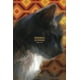 thumbnail image 1 of Libro Personajes Desesperados. /563, 1 of 3