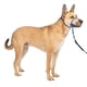 thumbnail image 1 of Collar para perro PetSafe Gentle Leader No-Pull, azul medio, 1 of 6