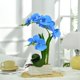 thumbnail image 5 of Orquídea artificial FuleHouzz azul de 39 cm con vaso de cerámica, 5 of 7