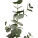 thumbnail image 3 of Rama Eucalipto 79cm Artificial, 3 of 3