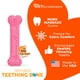 thumbnail image 5 of Juguete para Cachorros Nylabone Texturizado Sabor Pollo Extra Pequeño, 5 of 9