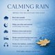 thumbnail image 3 of CD The Rhythm Tree Sonidos Calmantes de Lluvia Natural, 3 of 9