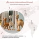thumbnail image 3 of Teether Sophie la girafe Fanfan The Fawn Caucho natural, 3 of 6