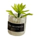 thumbnail image 3 of Mini Juguetes Para Casa De Mu?ecas Modelo De Paisaje Estático Modelado Mini Plantas Artificiales Estilo D, 3 of 5