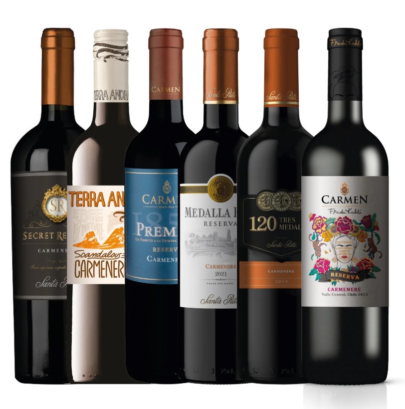 Santa Rita Y Carmen - Caja X6 Vinos Reserva Carmenere