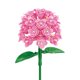 thumbnail image 2 of Set Armable Brickcraft Hortensia Rosada 121 Piezas Floral, 2 of 3