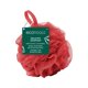 thumbnail image 1 of Esponja de baño EcoTools Delicate EcoPouf 1 unidad, 1 of 5