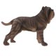 thumbnail image 2 of simulación animal salvaje figura figura juguete figurita neopolitan mastín #b, 2 of 5
