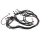 thumbnail image 5 of Cableado PANGOLIN 4L80E LS 1997-2006 DBC EV1 4.8 5.3 6.0, 5 of 7