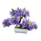 thumbnail image 1 of Árbol De Bonsái Artificial, Decoración De Plantas Artificiales Para Granja, Estante De Oficina, Violeta, 1 of 5