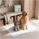 thumbnail image 5 of 100 Pañales Sabanillas Mascotas Perros 45x60 Cm Calidad Stantard Absorvente Homer Design Celeste, 5 of 8