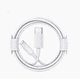 thumbnail image 3 of Cable De Carga Usb Tipo C To Lightning Para iPhone, 3 of 3