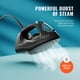 thumbnail image 5 of Plancha de vapor PurSteam Professional 1250 W con Burst & Spray, 5 of 9