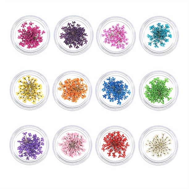 12 Boxes,3D Dried Flower Nail Charms,Colorful Dried Flower Nail Decal For Decoration,Exquisite Self Adhesive Nail Supplies For Nail Salon And Home DIY