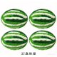 thumbnail image 1 of suxuMhao Hilos de Poliéster Súper Voluminosos, 4 Rollos Verde, Verde Oscuro y Blanco - Cada Rollo 8.82oz/250g, 29.5yd Hilo Jumbo, Hilo Grueso para Crochet para Manualidades, Hilo para Tejer, Hilo, 1 of 4