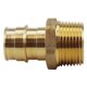 thumbnail image 1 of Conexión para mangueras The Mosack Group Inc. ADAPTR 3/4" Barb X MPT, 1 of 6