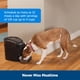 thumbnail image 2 of Comedero automático para perros PetSafe Healthy Pet Simply Feed Black, 2 of 6