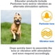 thumbnail image 5 of Collar De Adiestramiento Para Perros E collar Et 300 et 302, 5 of 5