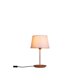 thumbnail image 1 of Lámpara De Mesa Slim 3039Ct/83, 1 of 3