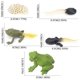 thumbnail image 2 of Figuras Gemini&Genius Life Cycle of Frog para niños de más de 3 años, 2 of 9
